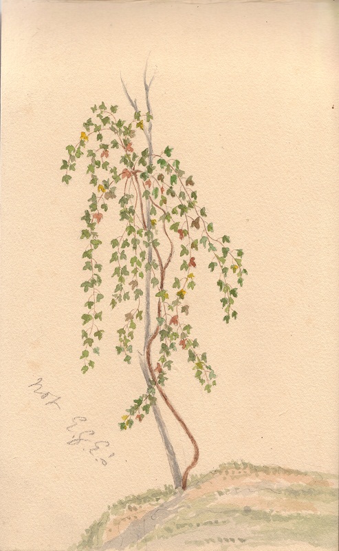 Emily Dougan 1856 Sketchbook (8).jpg