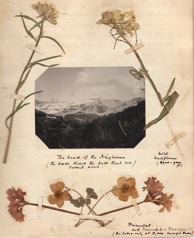 Kolahoi 1900 mountaineering journal by Cecil Barton (10).jpg