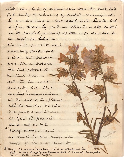 Kolahoi 1900 mountaineering journal by Cecil Barton (15).jpg