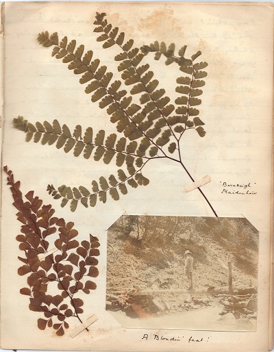 Kolahoi 1900 mountaineering journal by Cecil Barton (28).jpg