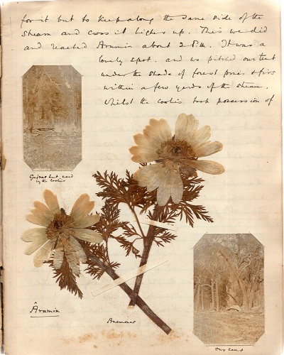 Kolahoi 1900 mountaineering journal by Cecil Barton (30).jpg