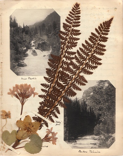 Kolahoi 1900 mountaineering journal by Cecil Barton (43).jpg