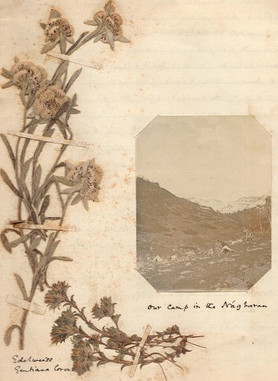 Kolahoi 1900 mountaineering journal by Cecil Barton (5).jpg